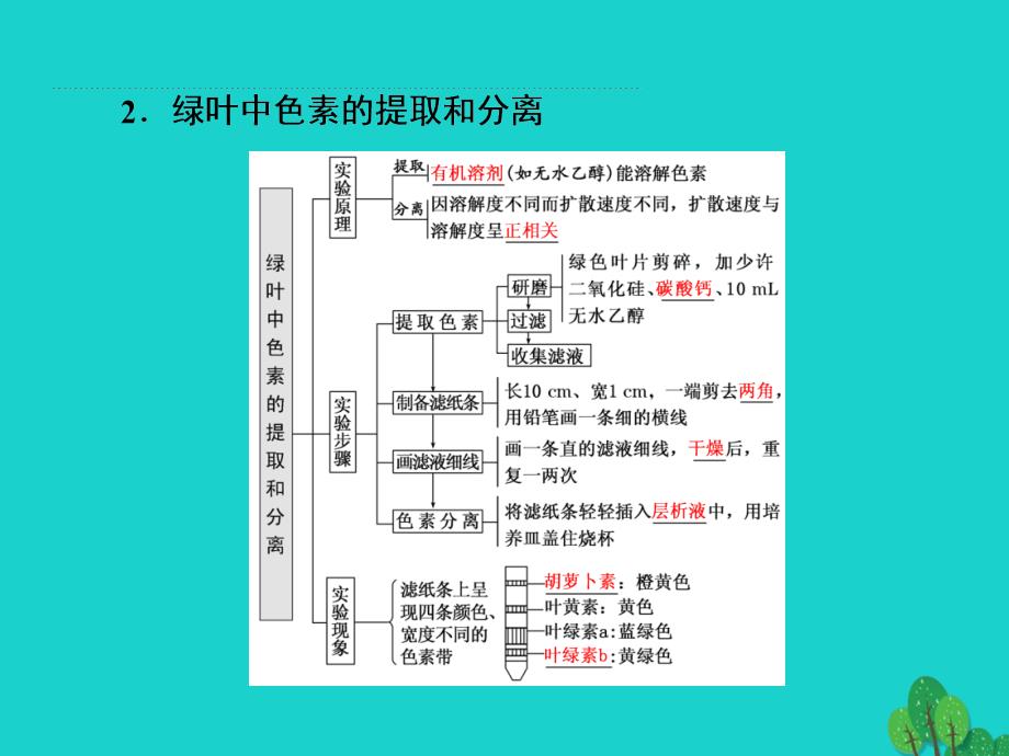 高考生物 第三单元 细胞的能量供应和利 第3讲 能量之源-光与光合作用（第1课时）光合作用的探究历程与基本过程（必修1）_第4页