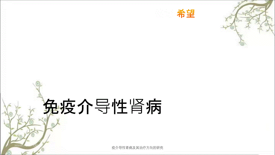 疫介导性肾病及其治疗方向的研究_第1页