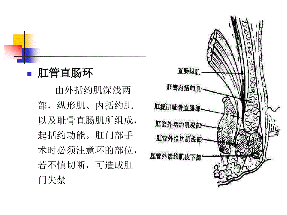 大肠肛管疾病病人的护理讲义_第4页