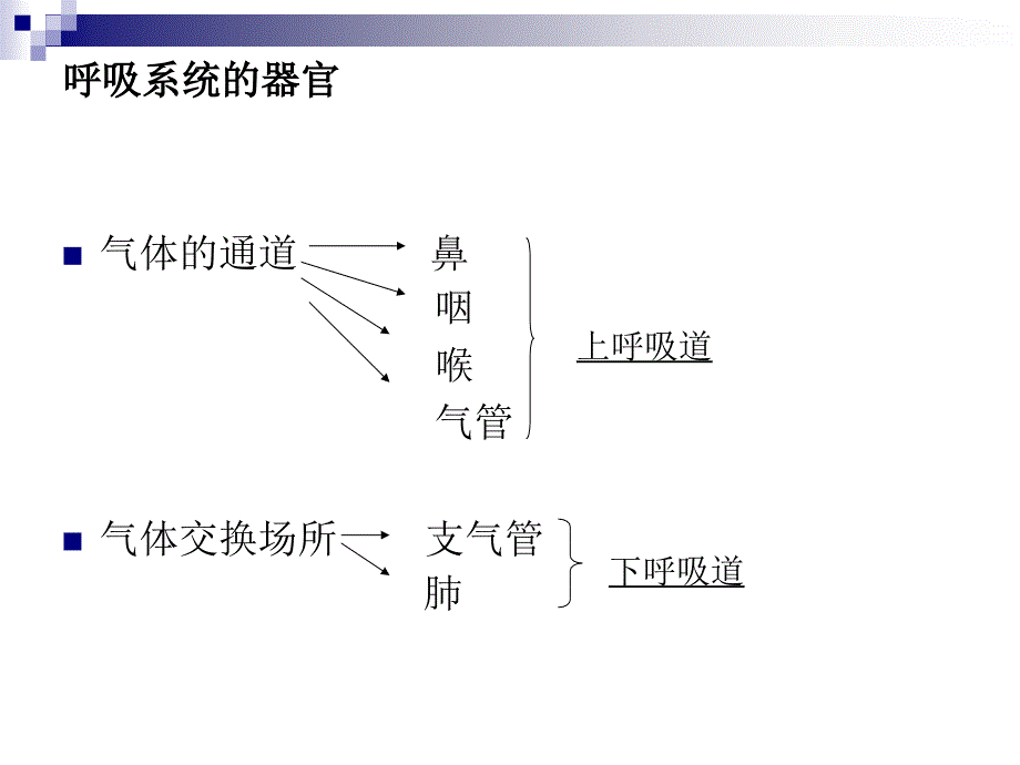 气管插管技术及气道管理课件_第2页