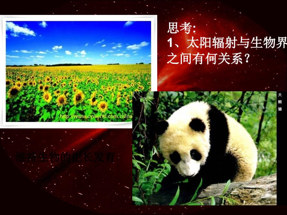 《万物之源太阳》PPT课件.ppt_第4页