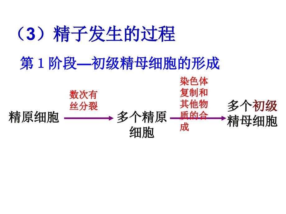 定稿体内受精和早期胚胎发育_第5页