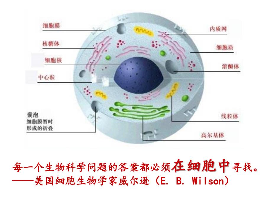 走近细胞第一节从生物圈到细胞_第2页