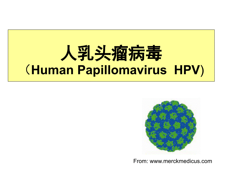 医学微生物学教学课件：5 HPV_第2页