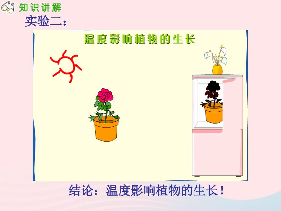 最新三年级科学下册二植物的生长第4课是什么在影响植物生长课件新人教版新人教版小学三年级下册自然科学课件_第4页