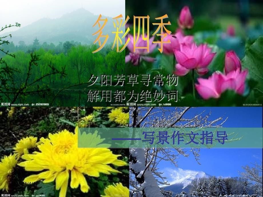 写作指导四季之美(用)课件_第5页