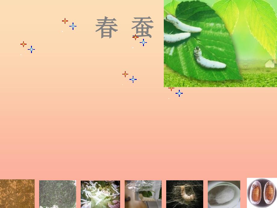 六年级语文下册 第3单元 8《春蚕》课件5 语文A版_第1页