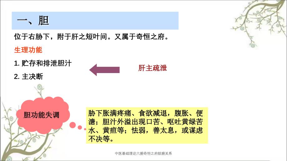 中医基础理论六腑奇恒之府脏腑关系_第3页