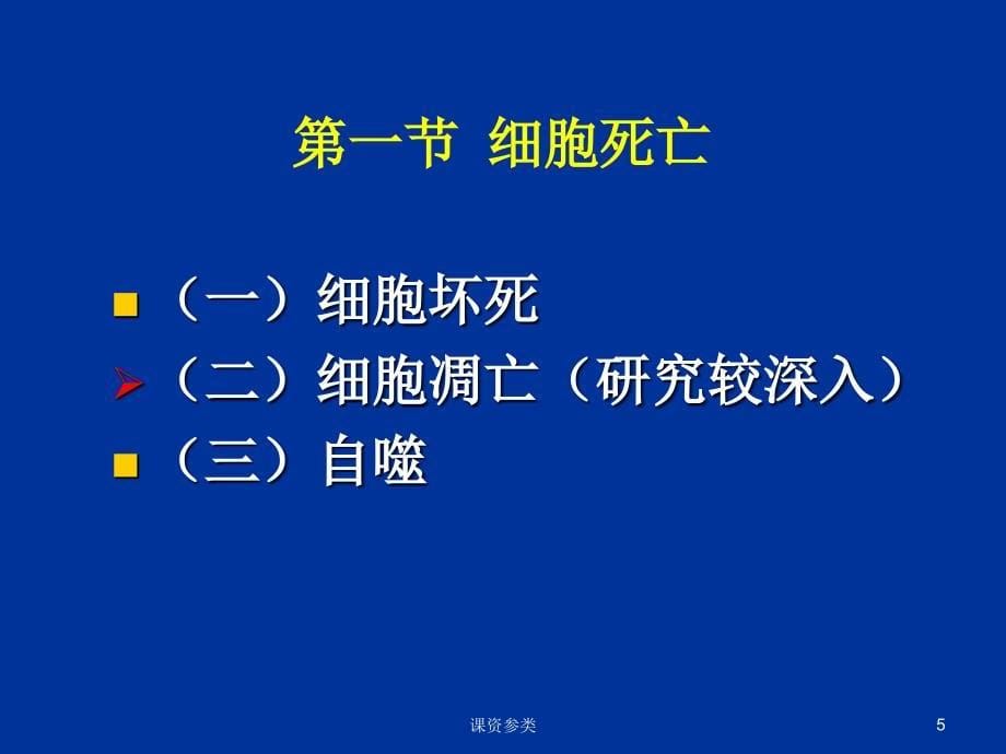 第16章 程序性细胞死亡与细胞衰老（课堂课资）_第5页