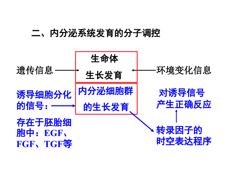 内分泌及代谢性疾病的分子机制_第3页