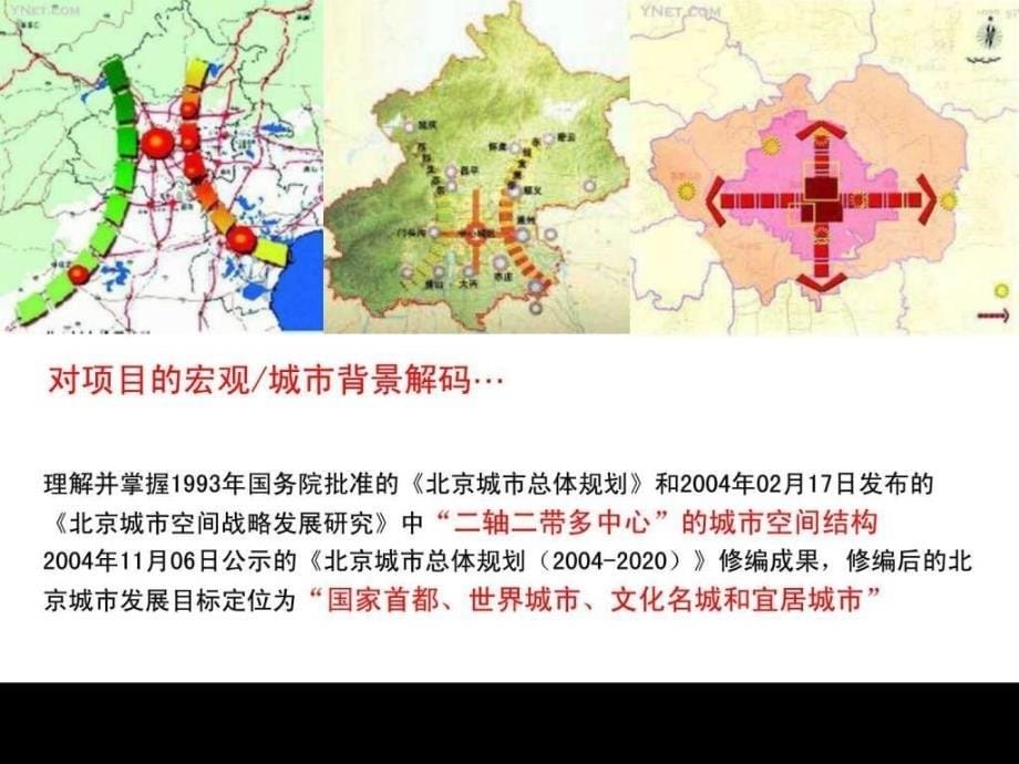 伟业顾问北京市沿海赛洛城项目营销策划_第5页