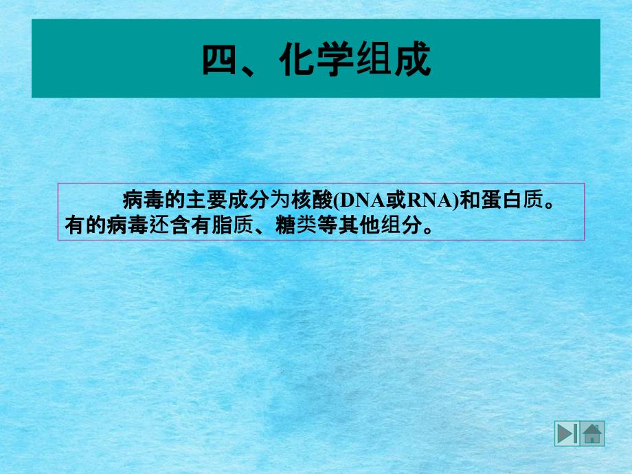 病毒化学组成ppt课件_第1页