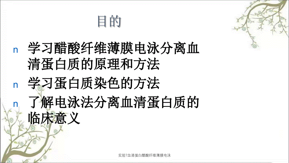 实验7血清蛋白醋酸纤维薄膜电泳_第2页