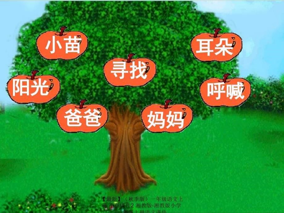 最新季版一年级语文上册小苗课件2湘教版湘教版小学一年级上册语文课件_第5页