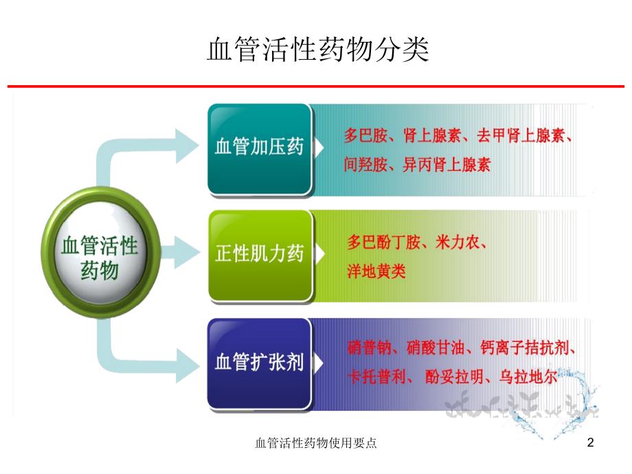 血管活性药物使用要点ppt课件_第2页