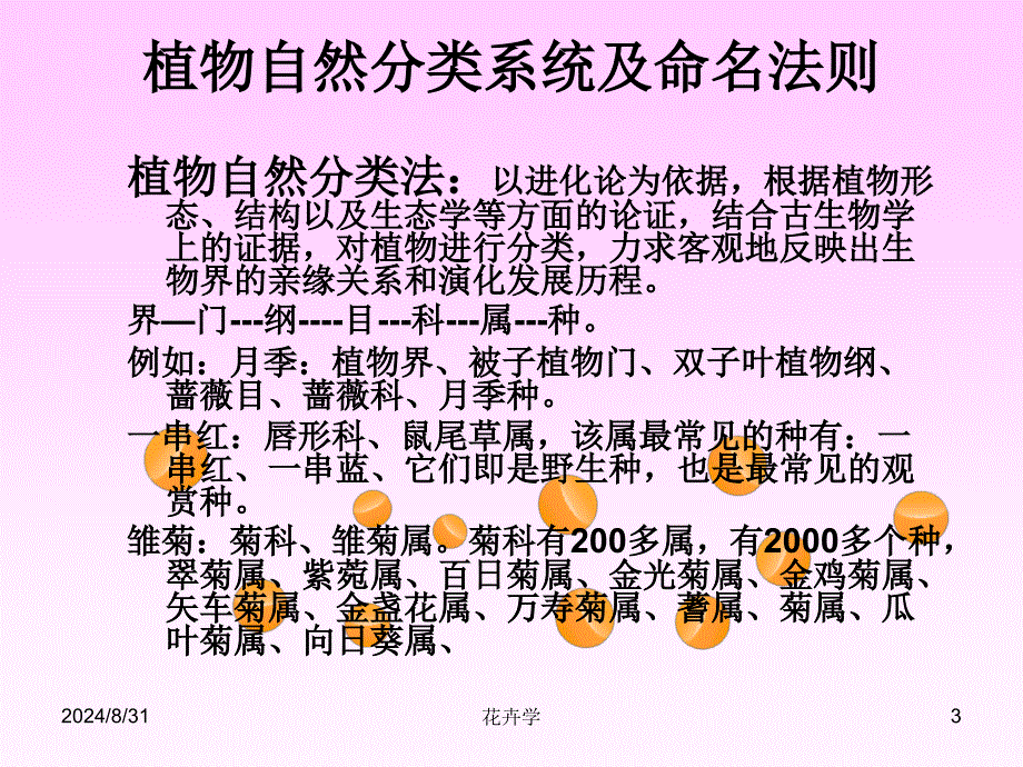 《花卉分类》PPT课件_第3页