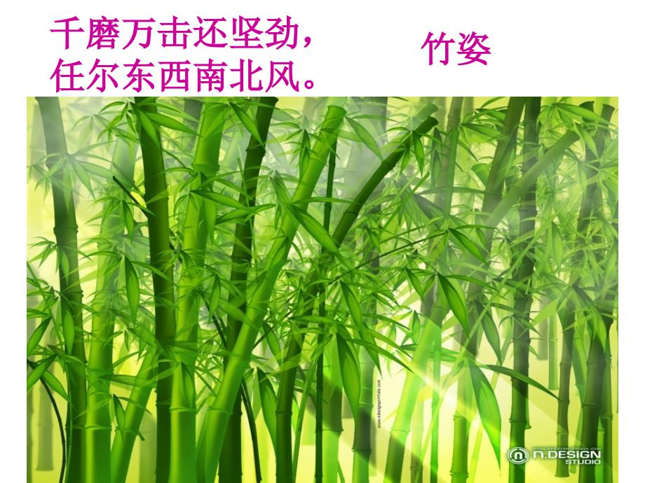 白杨礼赞优秀ppt课件_第2页