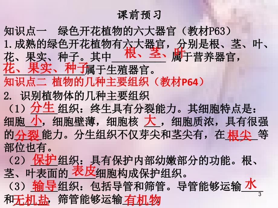 七年级生物上册第二单元第二章第三节植物体的结构层次课件新版新人教版_第3页