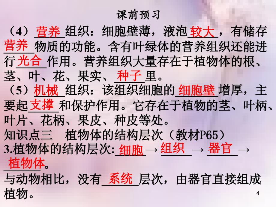 七年级生物上册第二单元第二章第三节植物体的结构层次课件新版新人教版_第4页