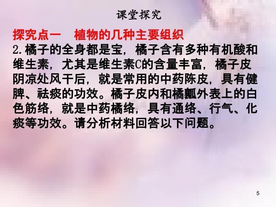 七年级生物上册第二单元第二章第三节植物体的结构层次课件新版新人教版_第5页