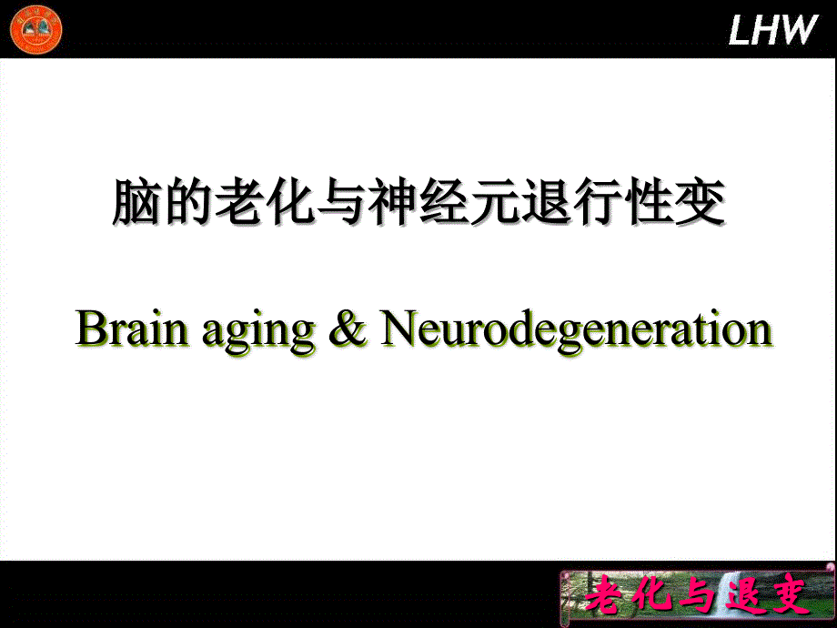 脑的老化与神经元退行性变课件_第1页