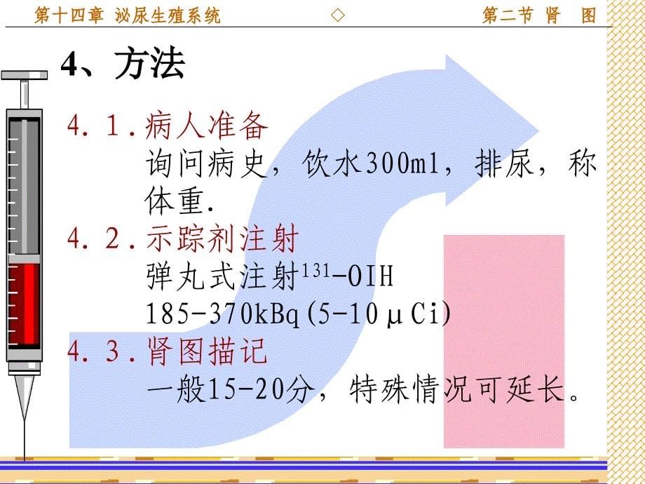 8影象系泌尿系统_第5页