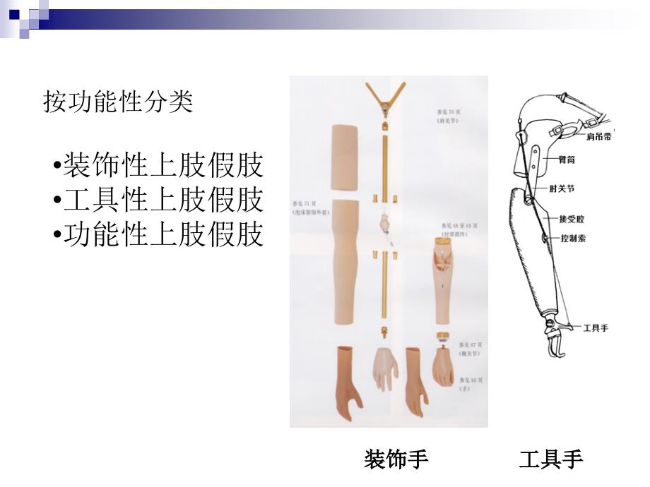 假肢技术第三节上肢假肢_第4页