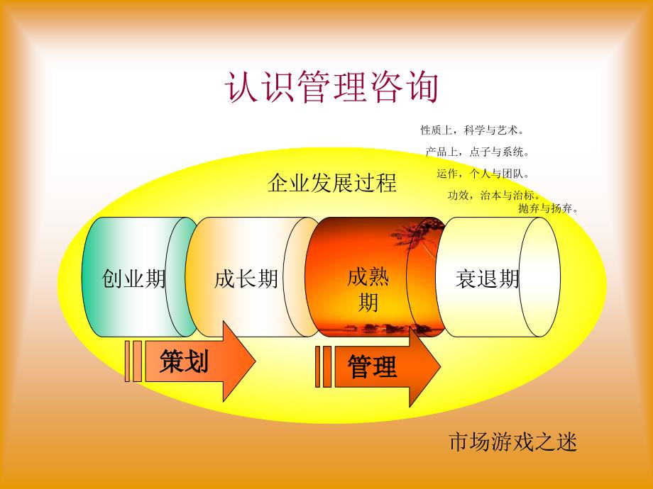 管理顾问操作实务_第3页