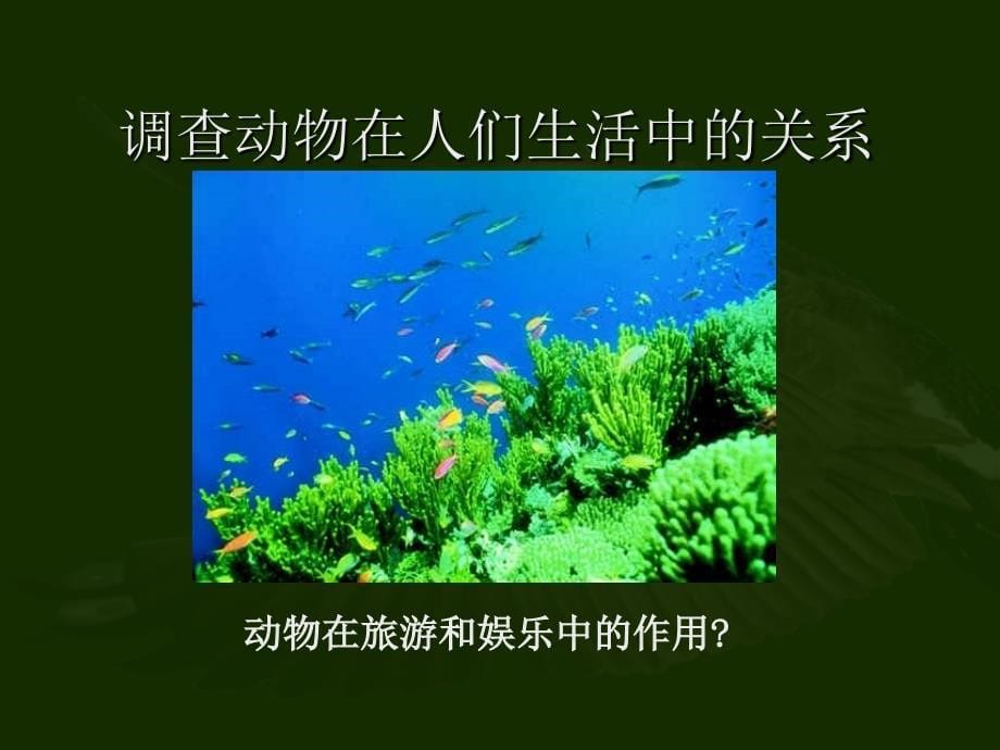 动物与人类生活的关系_第5页