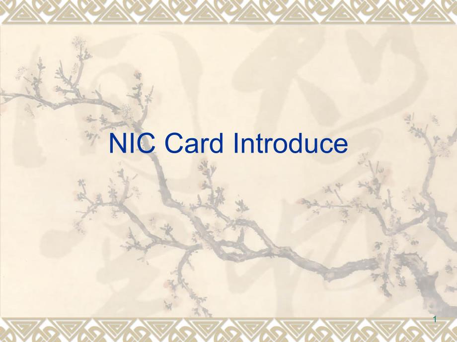 NIC-Card-IntroductionPPT优秀课件_第1页