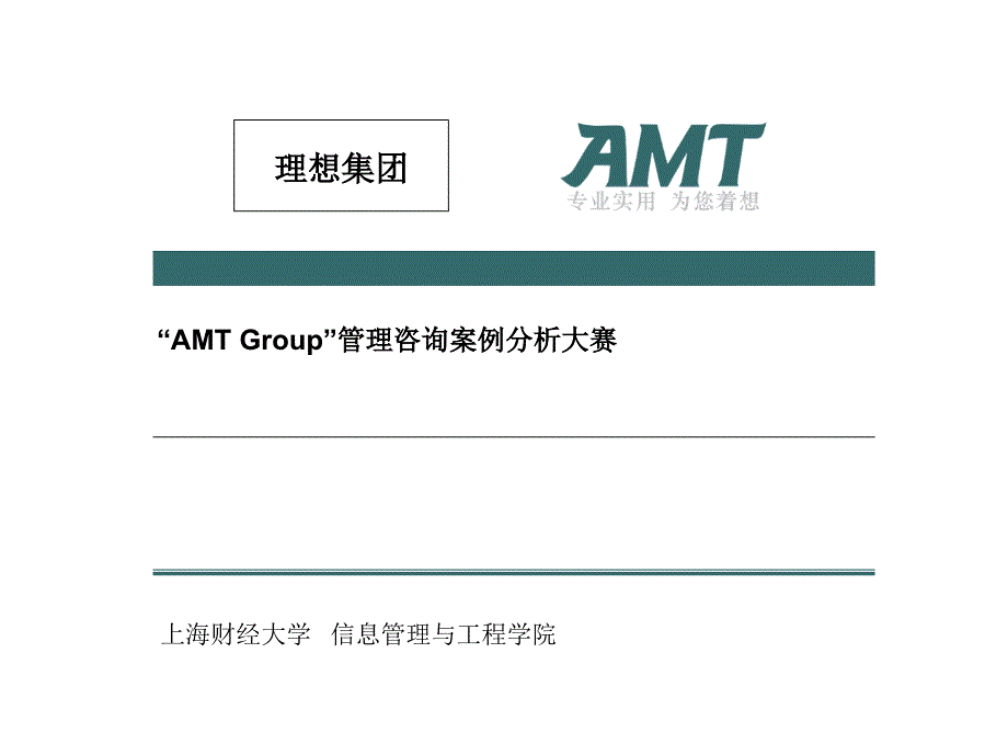 amtgroup管理咨询案例分析.ppt_第1页