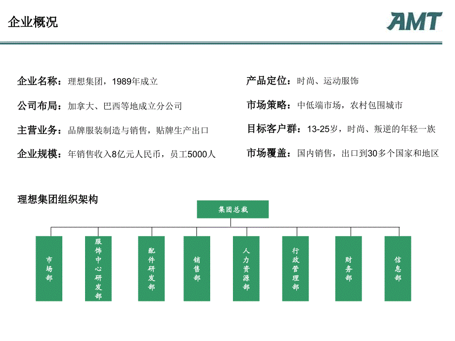 amtgroup管理咨询案例分析.ppt_第2页