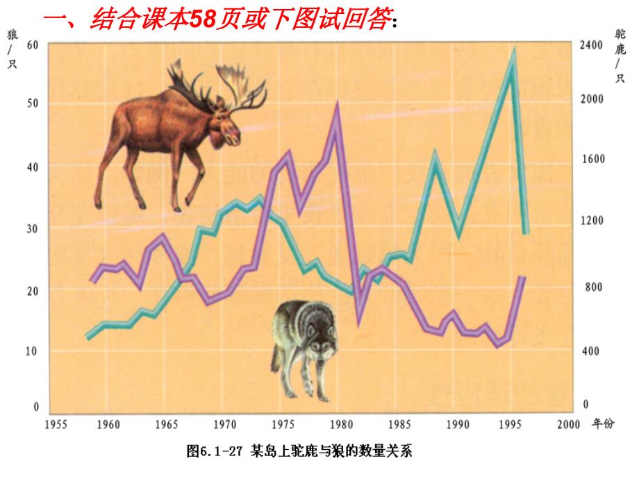 济南版初中生物八年级下册第六单元第五节《生态系统的自我调节》精品教案_第3页