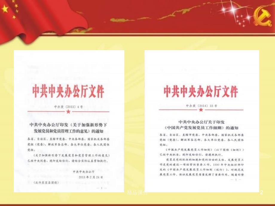 入学习贯中国共产党发展党员工作细则专题辅导专题党课宣讲课件_第2页