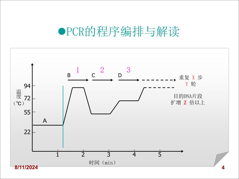 实时荧光定量PCR技术_第4页