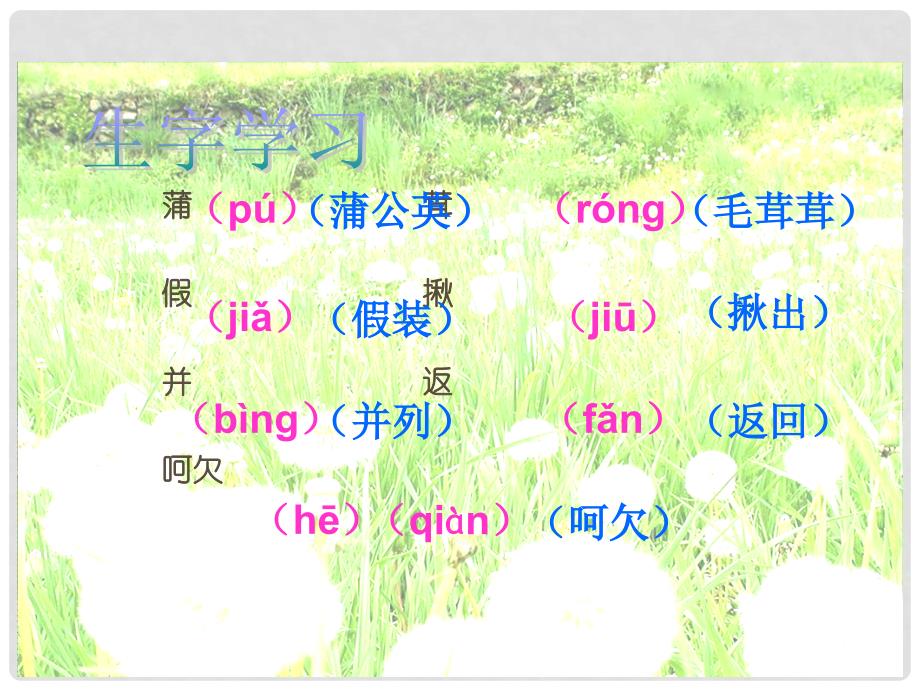 三年级语文上册 金色的草地 3课件 北师大版_第3页