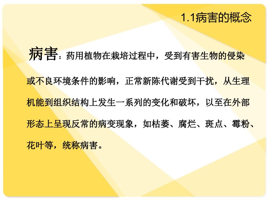 病虫害的防治PPT课件_第3页