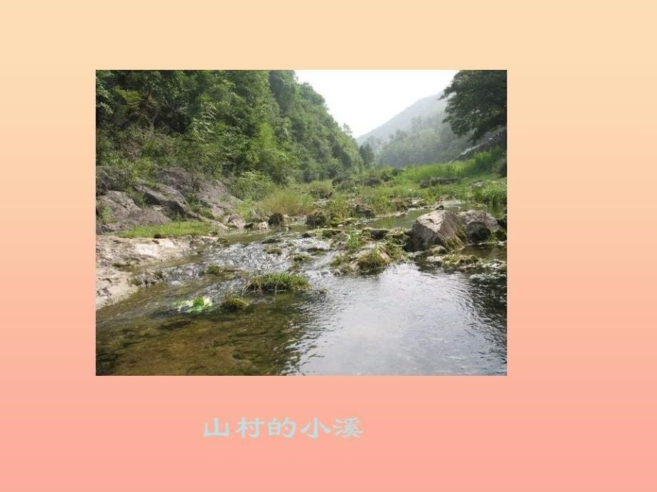 三年级语文下册 第4单元 13《山村的早晨》课件2 语文S版_第5页