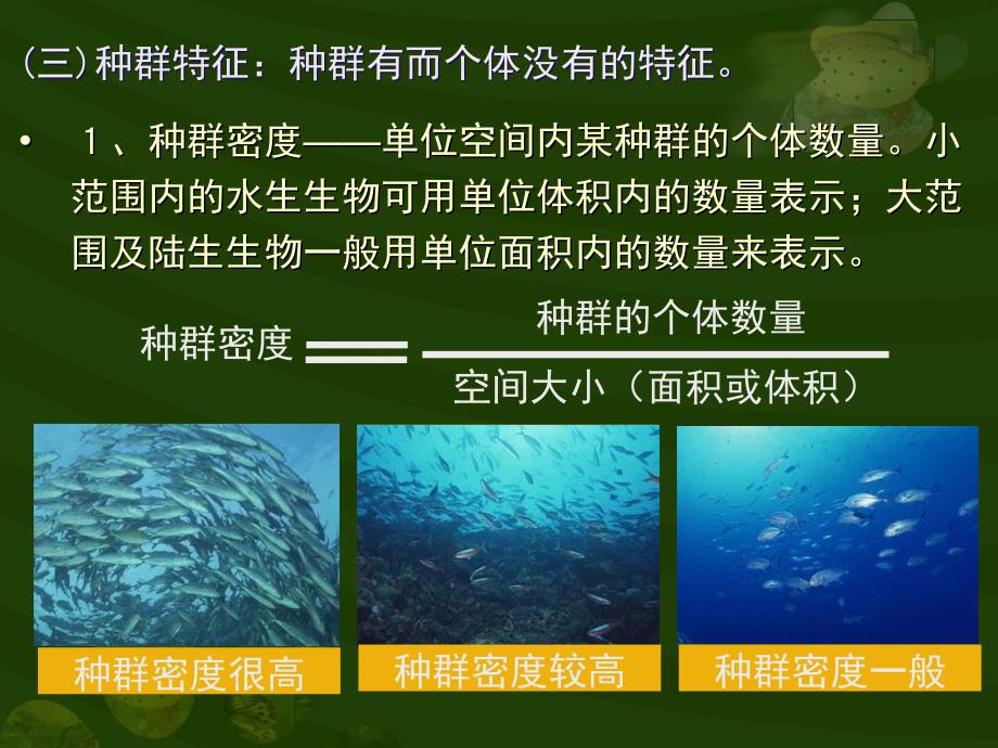 种群和生物群落1_第3页