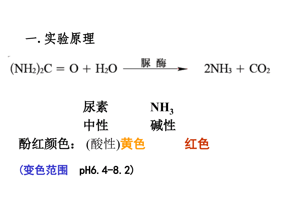 实验2分离以尿素为氮源的微生物2_第2页