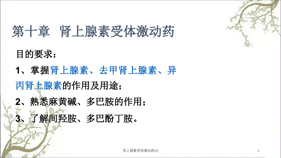 肾上腺素受体激动药(4)课件_第1页