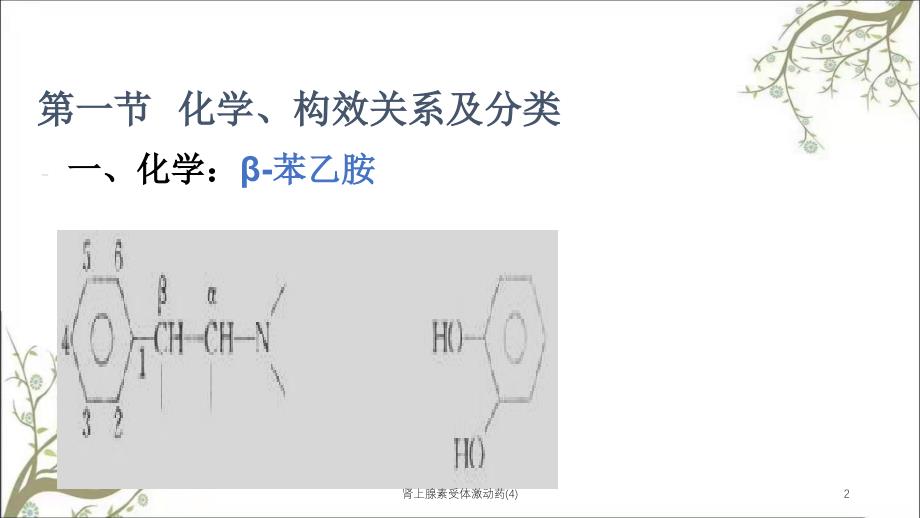 肾上腺素受体激动药(4)课件_第2页