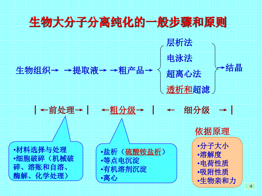 生化实验技术专题_第4页