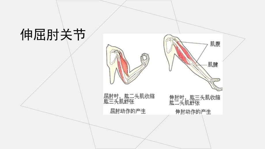 各关节功能锻炼ppt课件_第5页