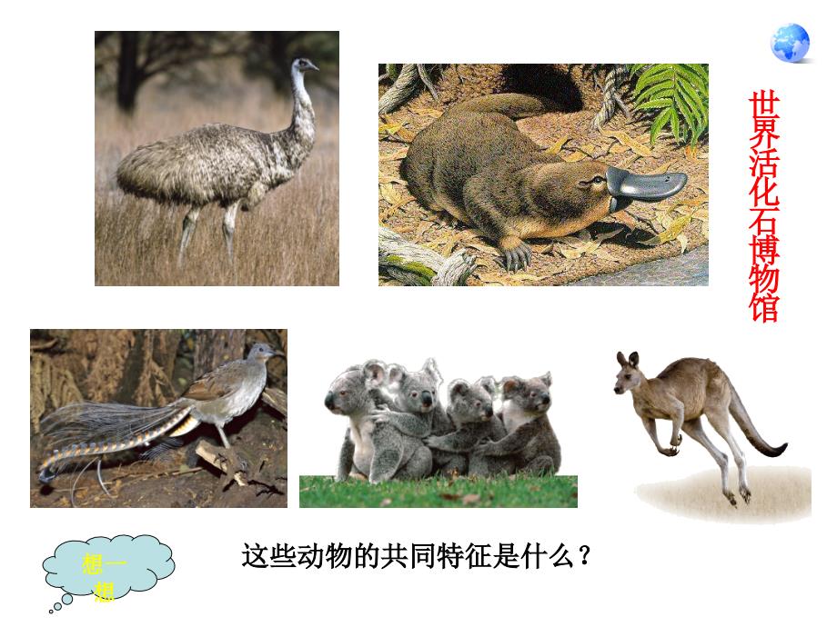 新人教版七年级地理下册八章东半球其他的地区和国家第四节澳大利亚课件30_第4页