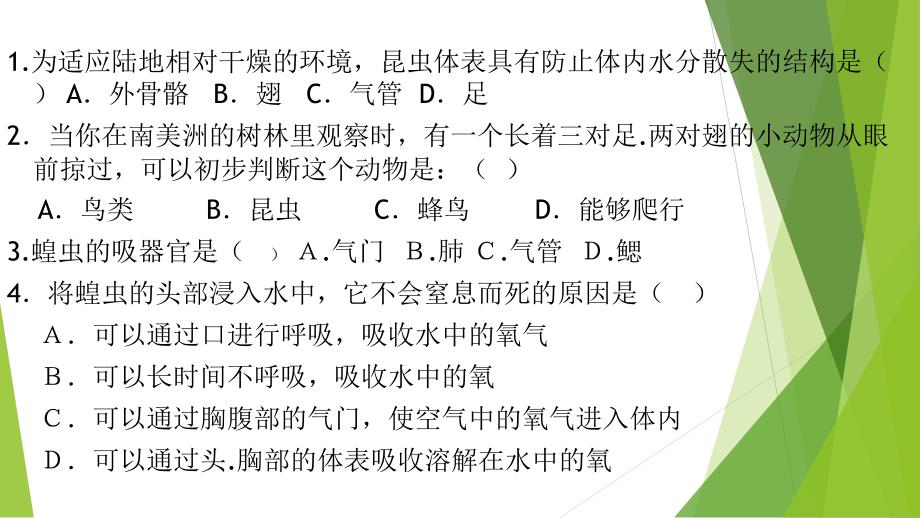 土壤里的小动物课件_第1页