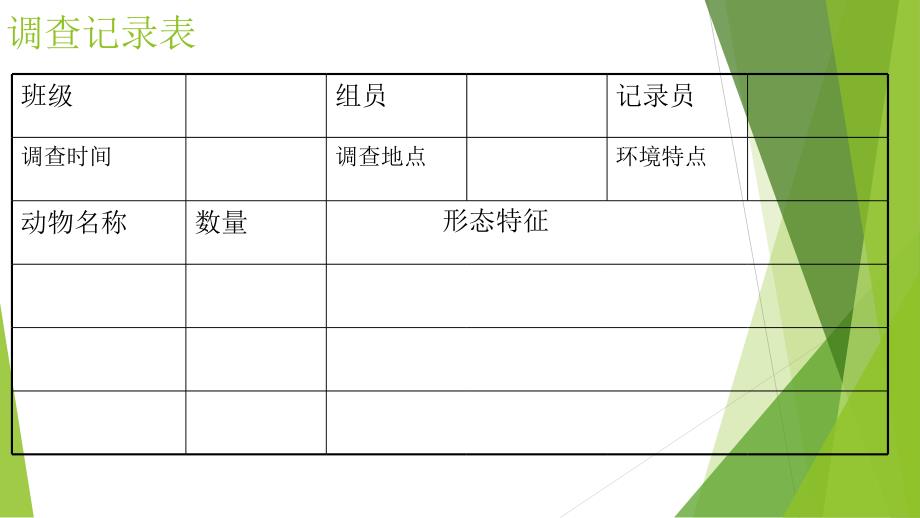 土壤里的小动物课件_第4页