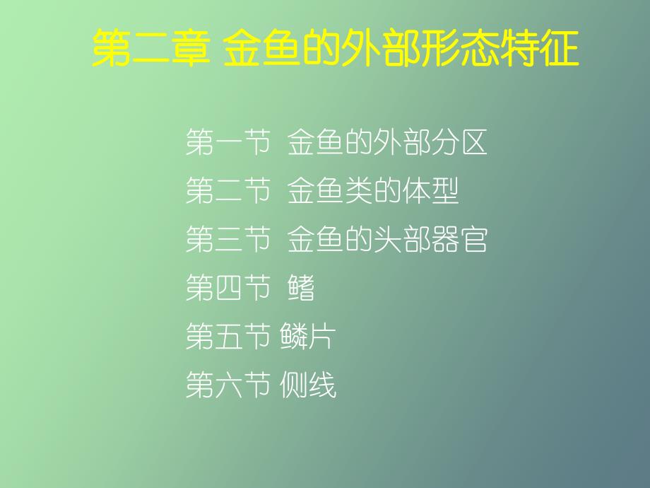 金鱼的外部形态_第1页