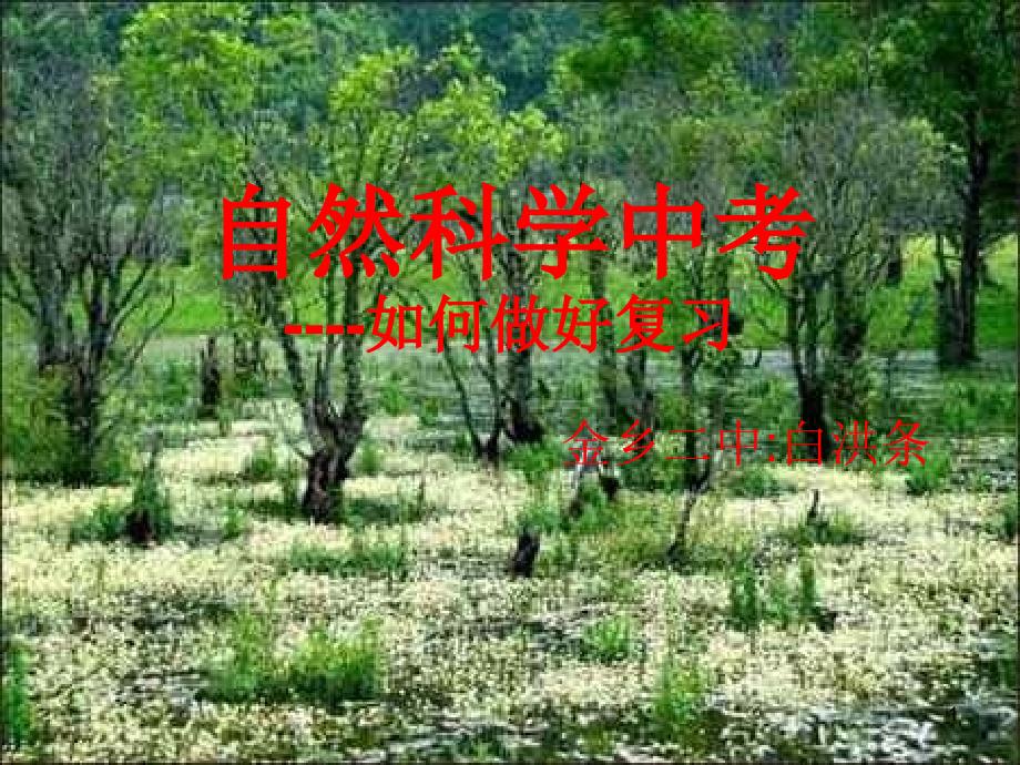 如何做好复习中考自然科学浙教版ppt课件_第1页