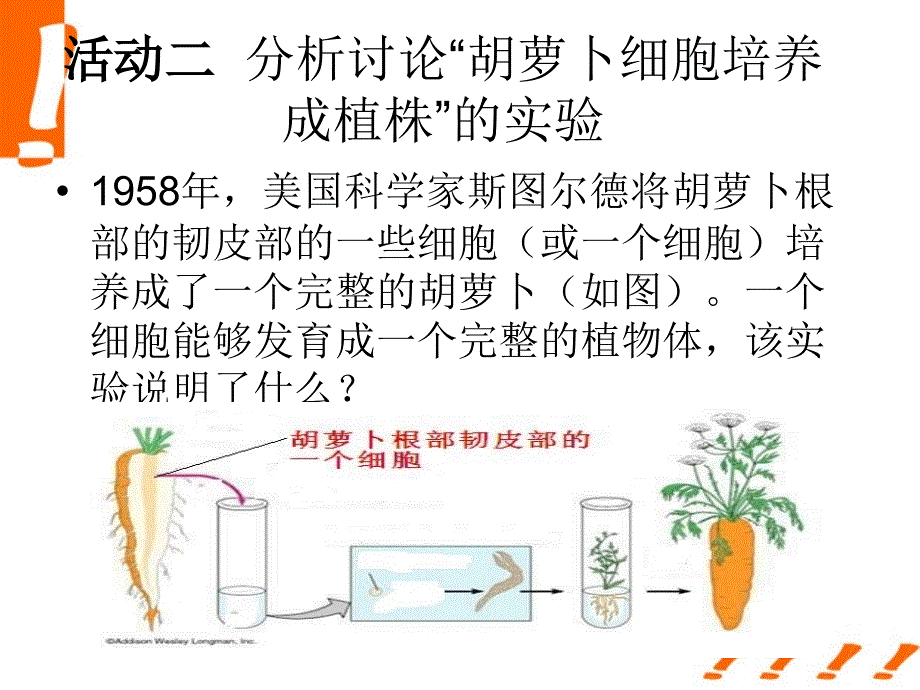 七年级生物上册细胞是生命活动的基本单位1PPT文档资料_第4页